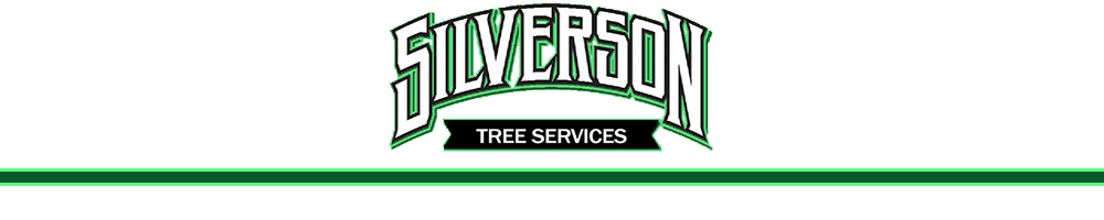 Silverson Tree Services, Tree Removals, Lanscaping,
                Pinellas, Tampa, St. Petersburg, FL